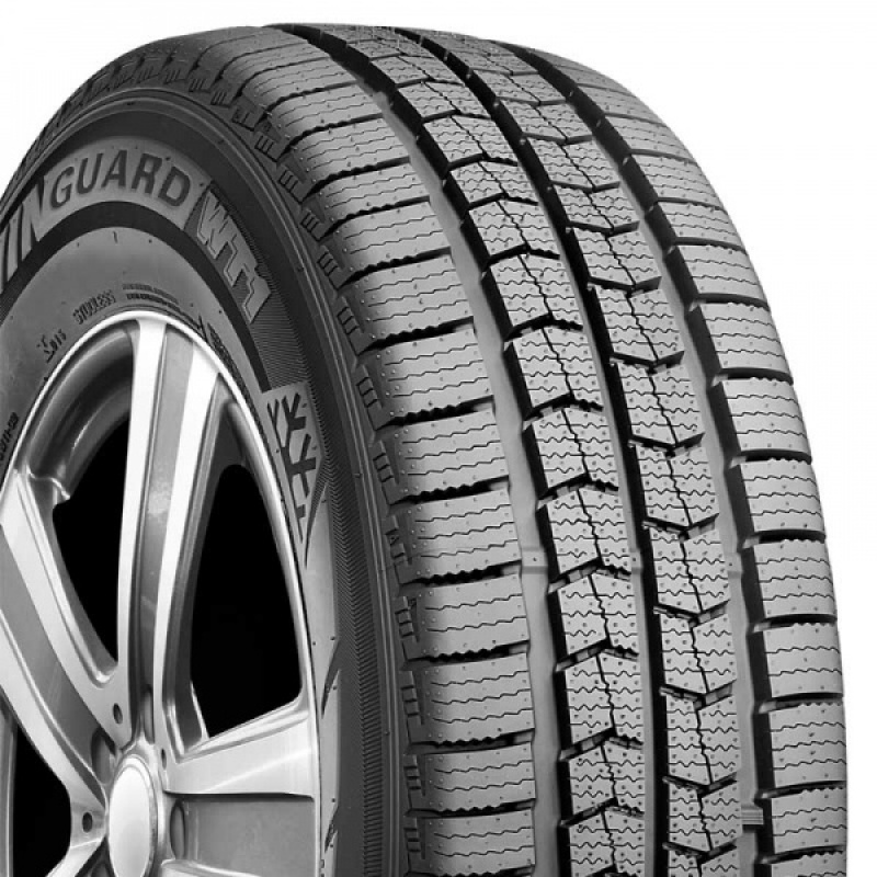 Winguard WT1