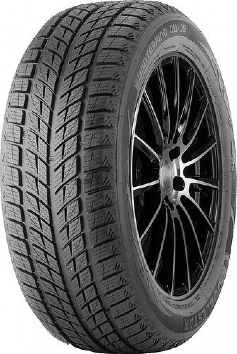 DOUBLESTAR DW09 XL FR